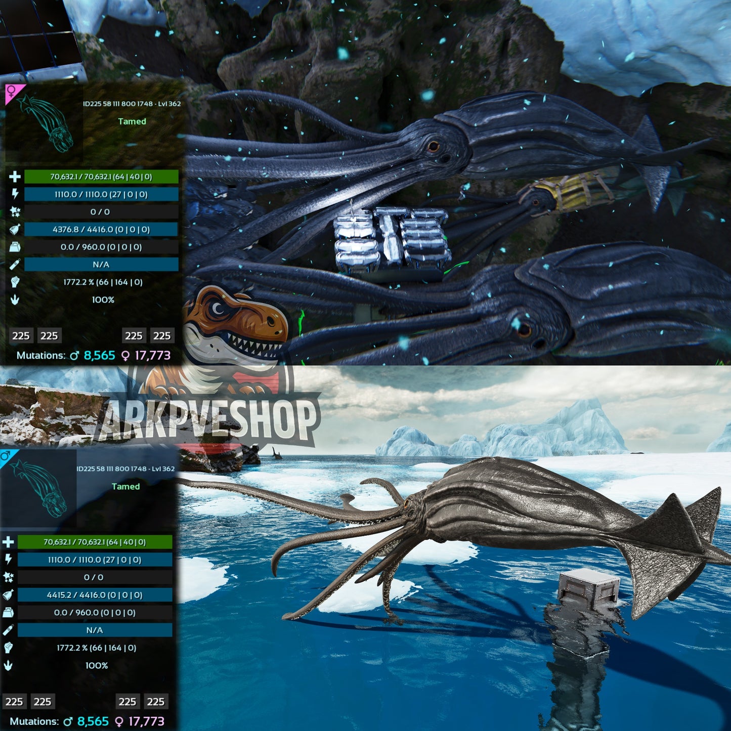 Tusoteuthis 1772%Melee Imprinted