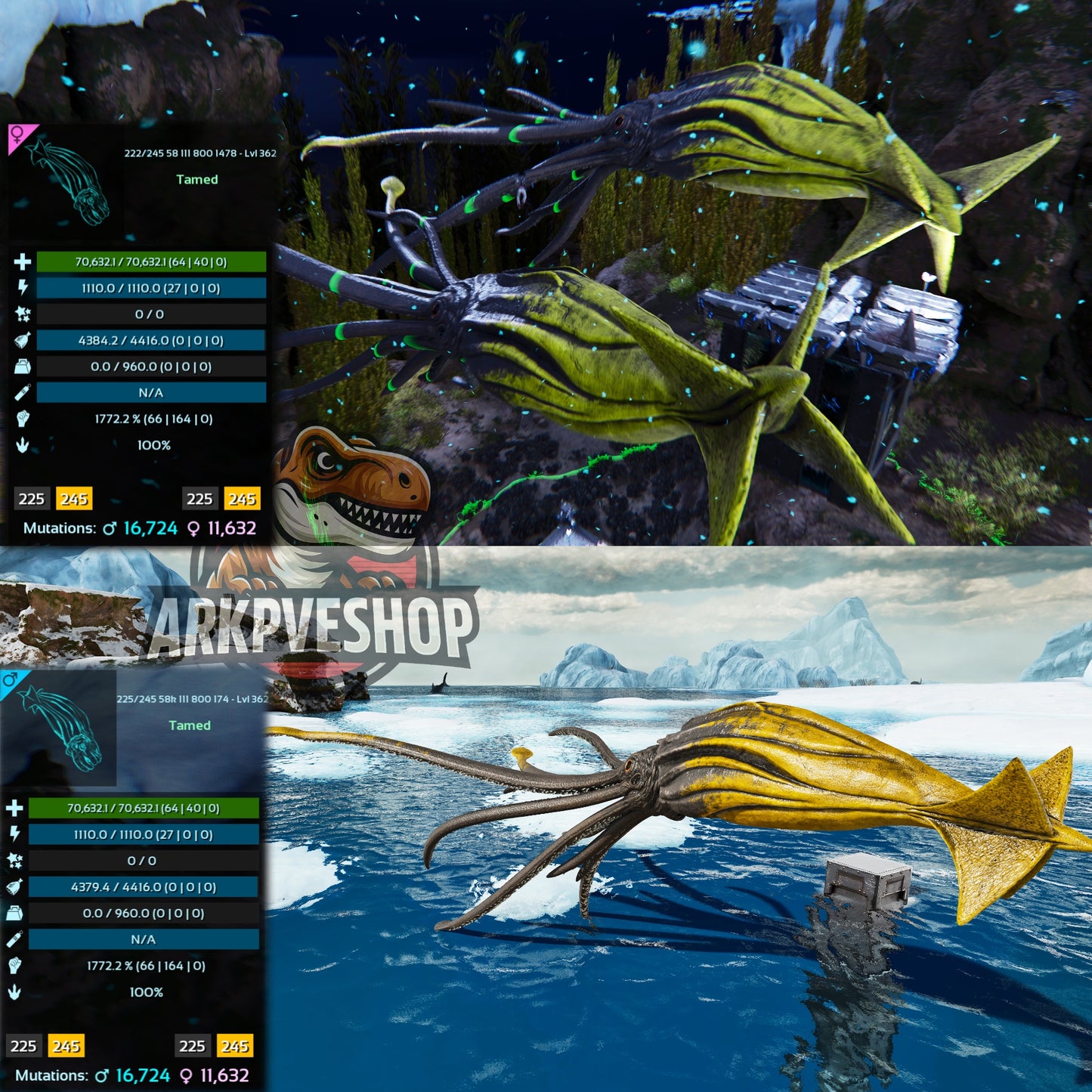 Tusoteuthis 1772%Melee Imprinted