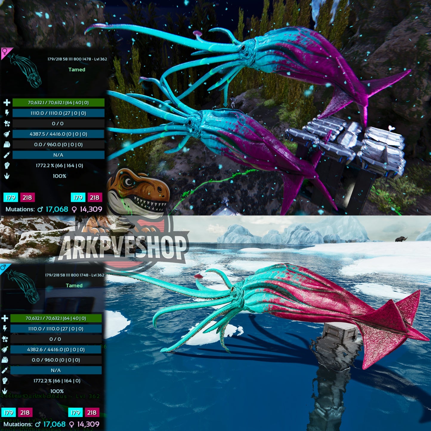 Tusoteuthis 1772%Melee Imprinted