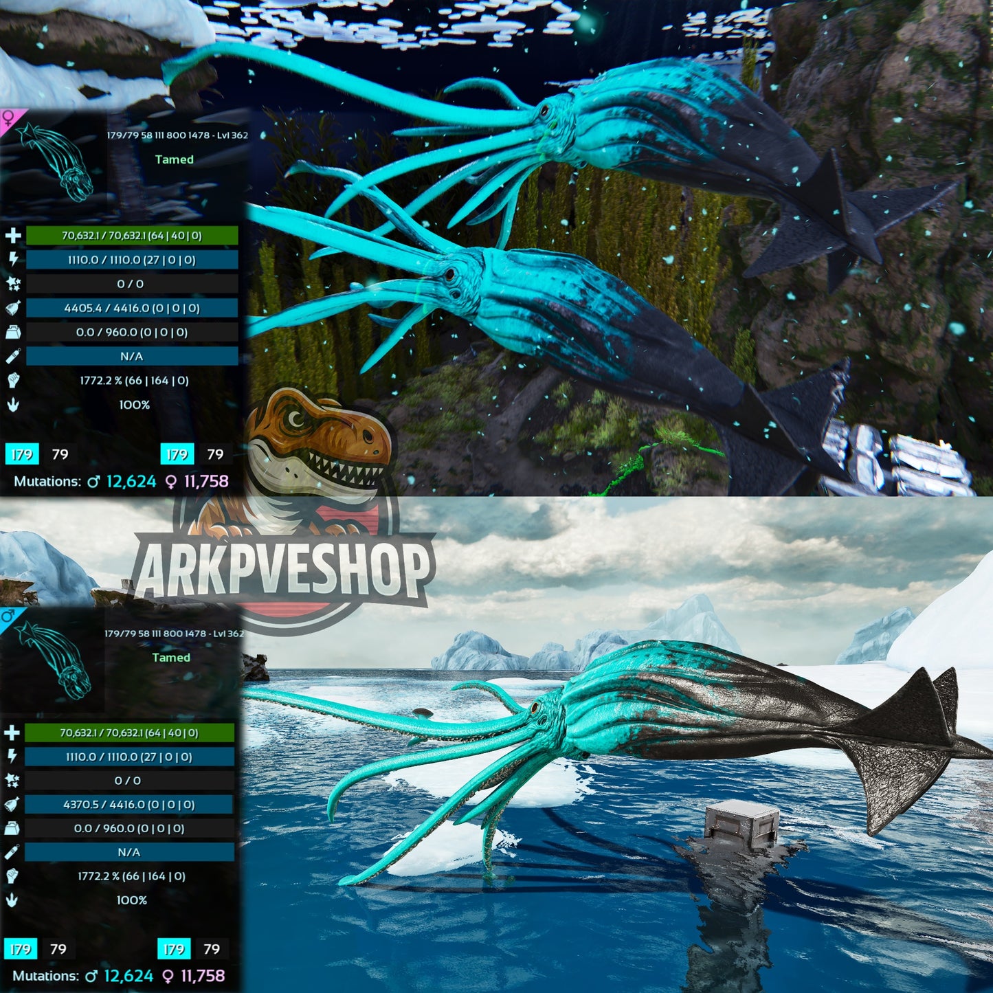 Tusoteuthis 1772%Melee Imprinted