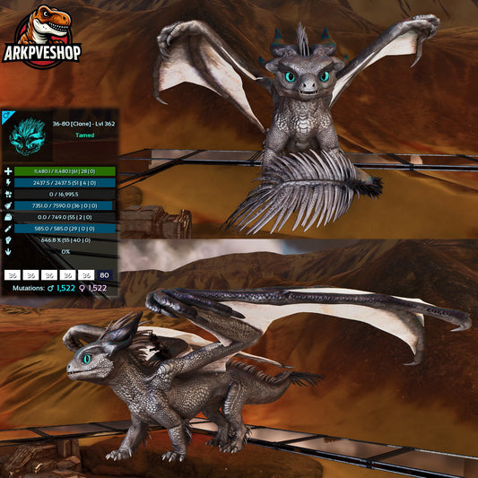 Umbra / Lumina Lvl 362+
