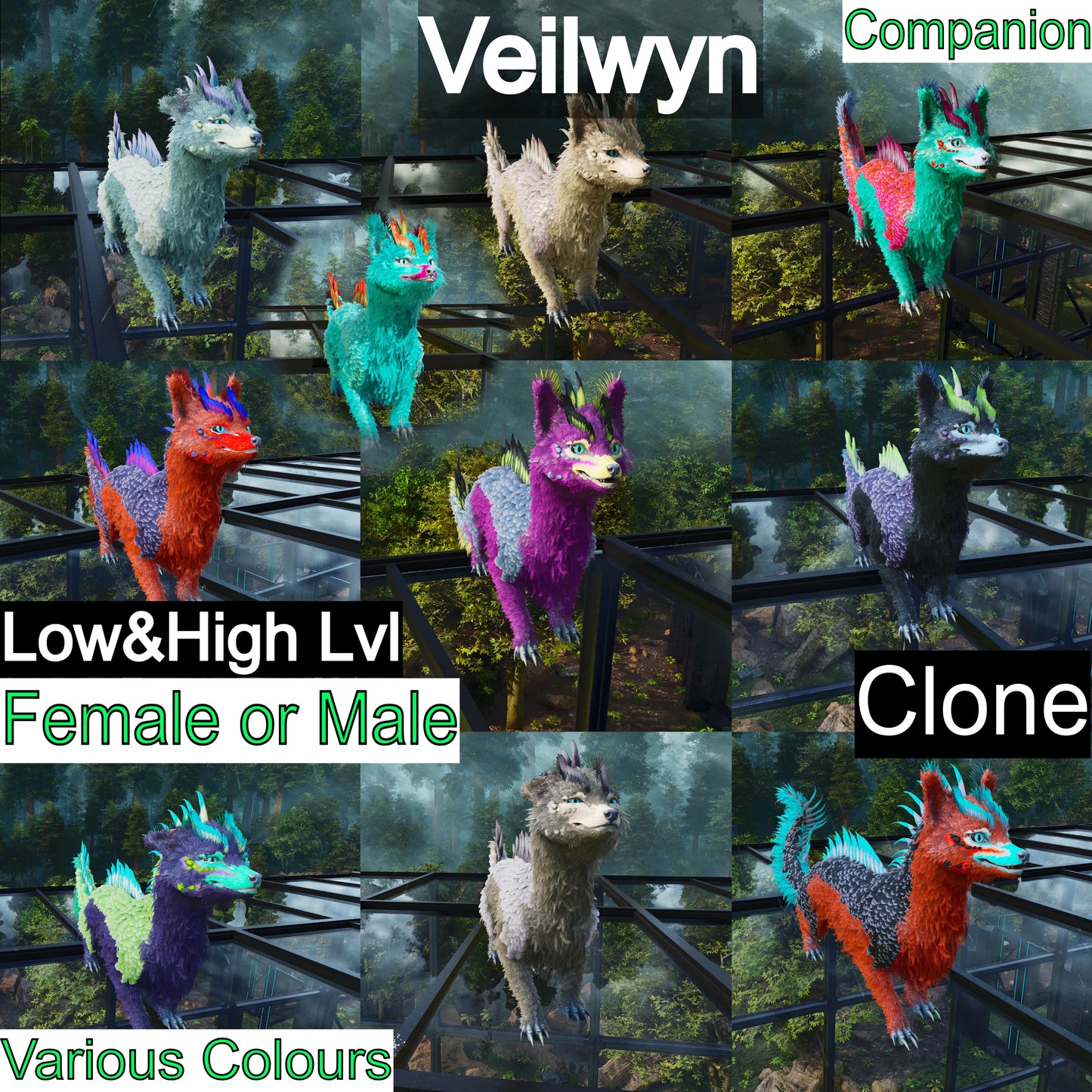 Veilwyn Low&High Lvls Clone