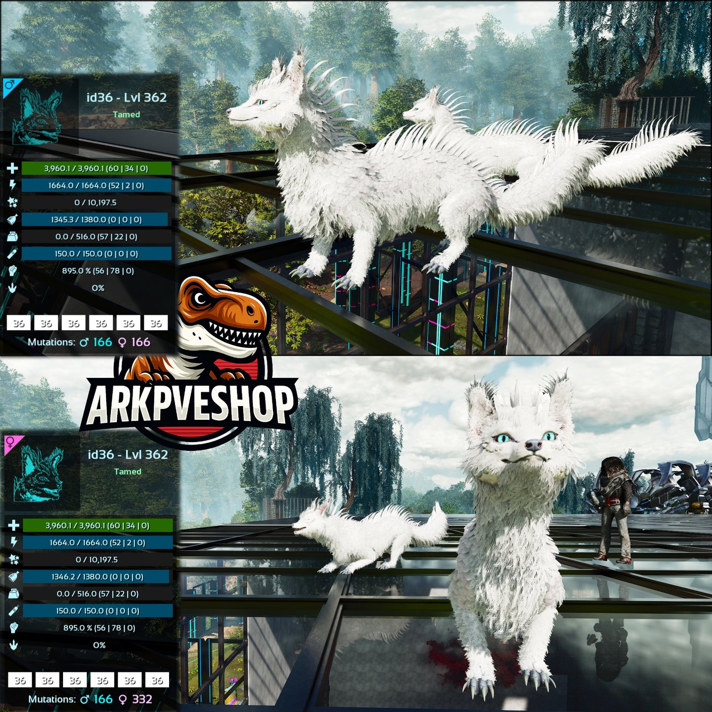 Veilwyn Lvl 362