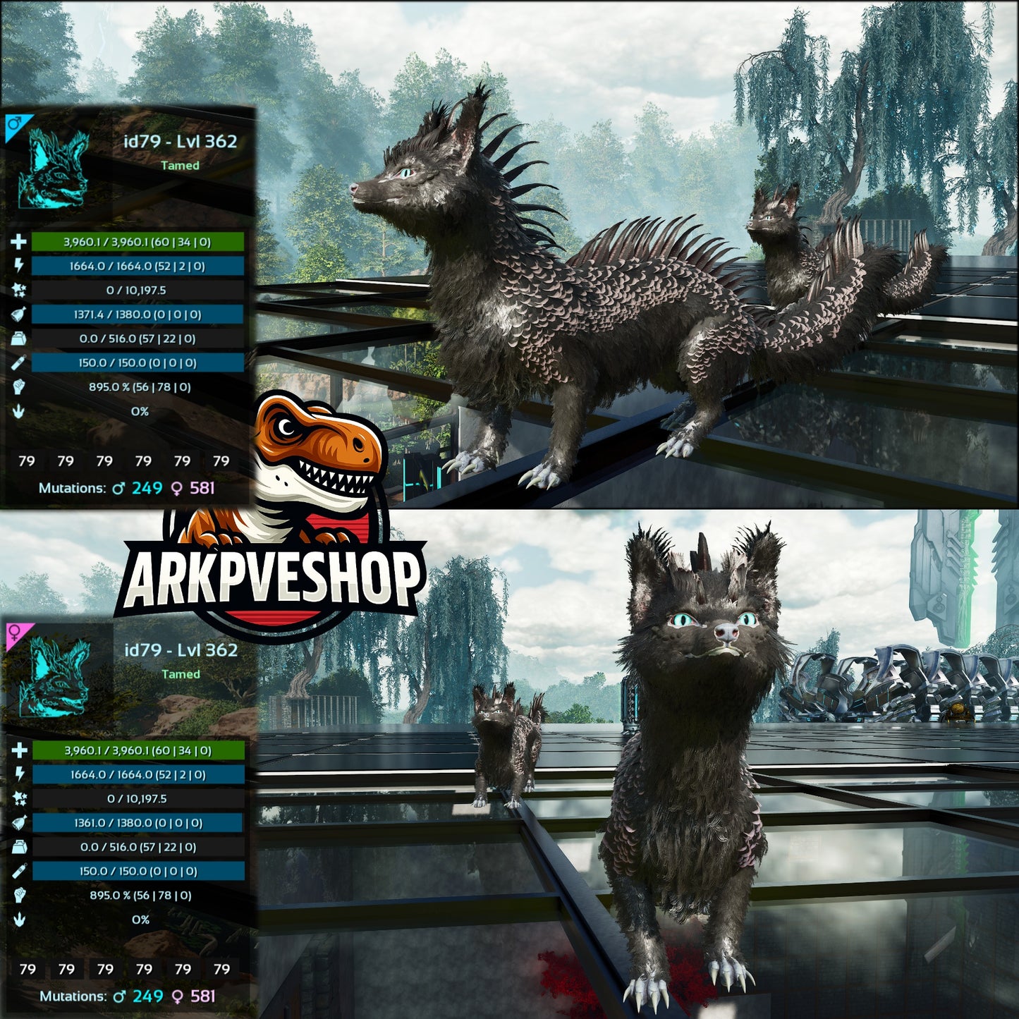 Veilwyn Lvl 362