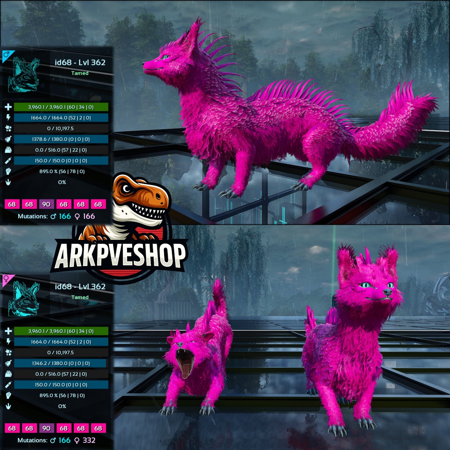 Veilwyn Lvl 362