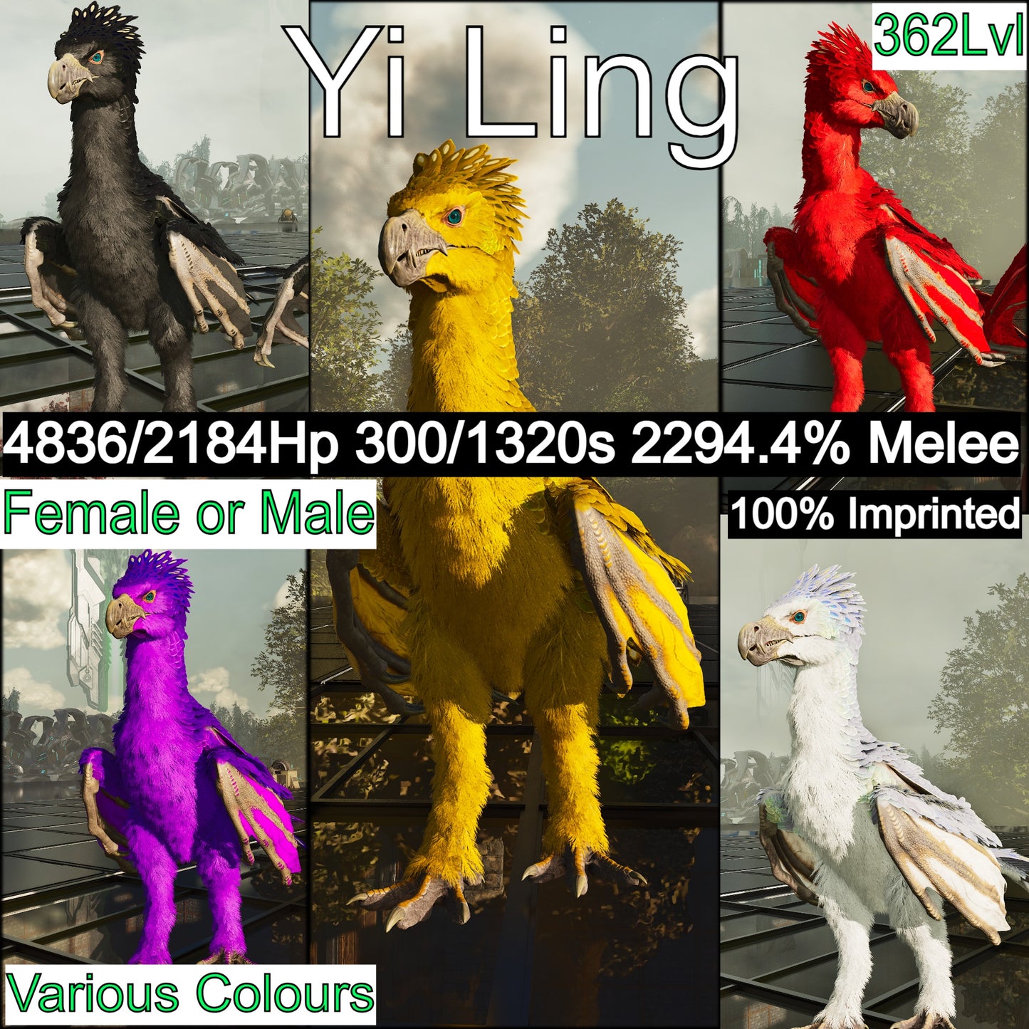 Yi Ling 2294% Melee Imptinted Solid Colours