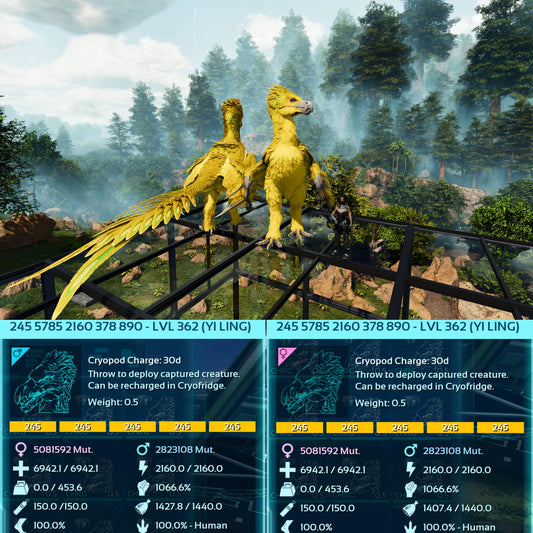 🏷️ Yi Ling - Max Level 362 🏷️