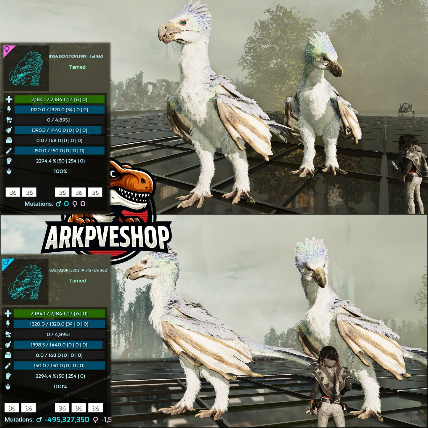 Yi Ling 2294% Melee Imptinted Solid Colours