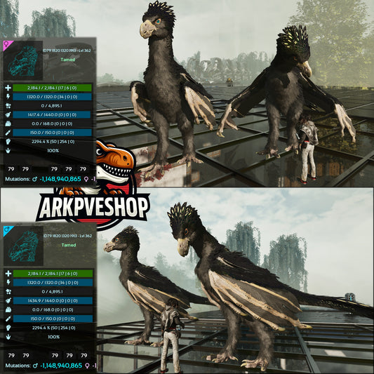 Yi Ling 2294% Melee Imptinted Solid Colours