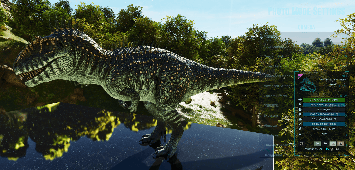 🏷️ Carcharodontosaurus / Carcharo 1078dmg imprint 🏷️
