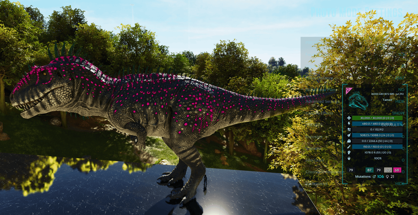 🏷️ Carcharodontosaurus / Carcharo 1078dmg imprint 🏷️