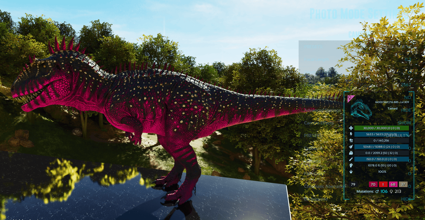 🏷️ Carcharodontosaurus / Carcharo 1078dmg imprint 🏷️