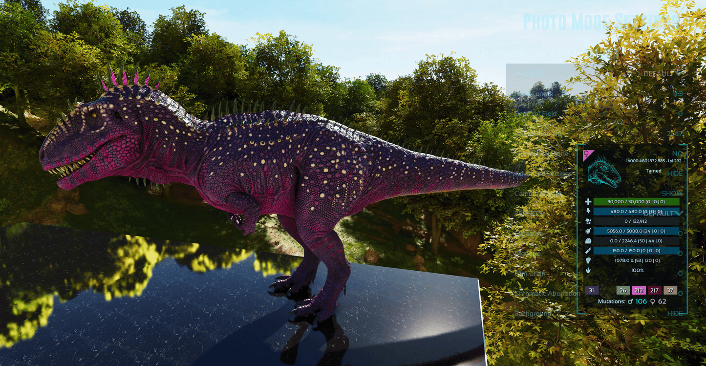 🏷️ Carcharodontosaurus / Carcharo 1078dmg imprint 🏷️