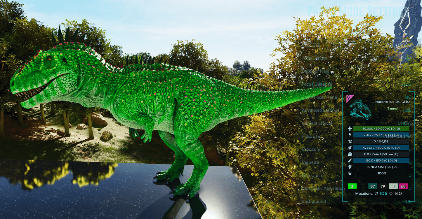 🏷️ Carcharodontosaurus / Carcharo 1078dmg imprint 🏷️