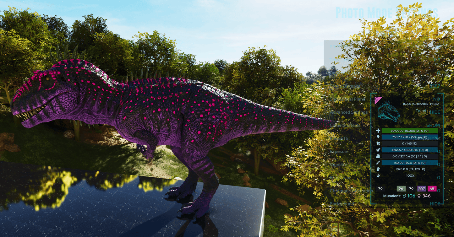 🏷️ Carcharodontosaurus / Carcharo 1078dmg imprint 🏷️