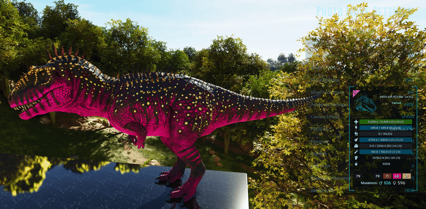 🏷️ Carcharodontosaurus / Carcharo 1078dmg imprint 🏷️