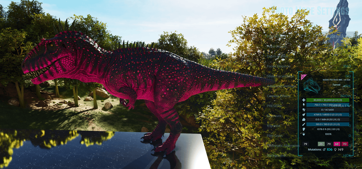 🏷️ Carcharodontosaurus / Carcharo 1078dmg imprint 🏷️