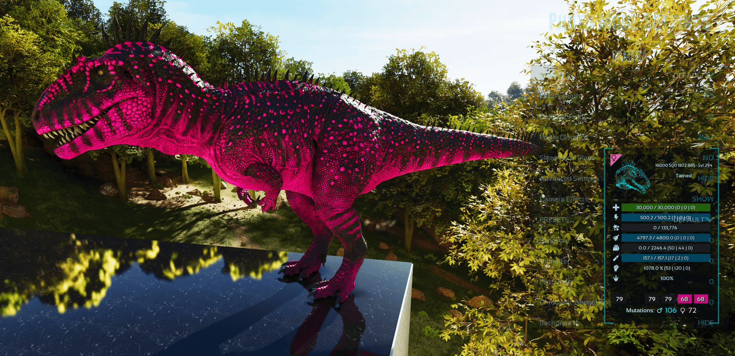🏷️ Carcharodontosaurus / Carcharo 1078dmg imprint 🏷️