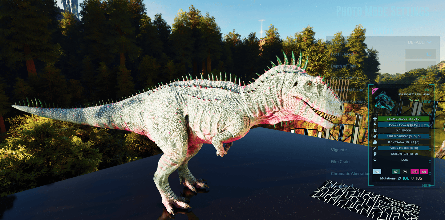 🏷️ Carcharodontosaurus / Carcharo 1078dmg imprint 🏷️