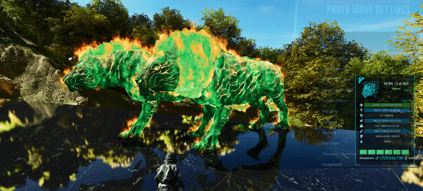Pyromane / PYRO - MAX Level / SOLIDS