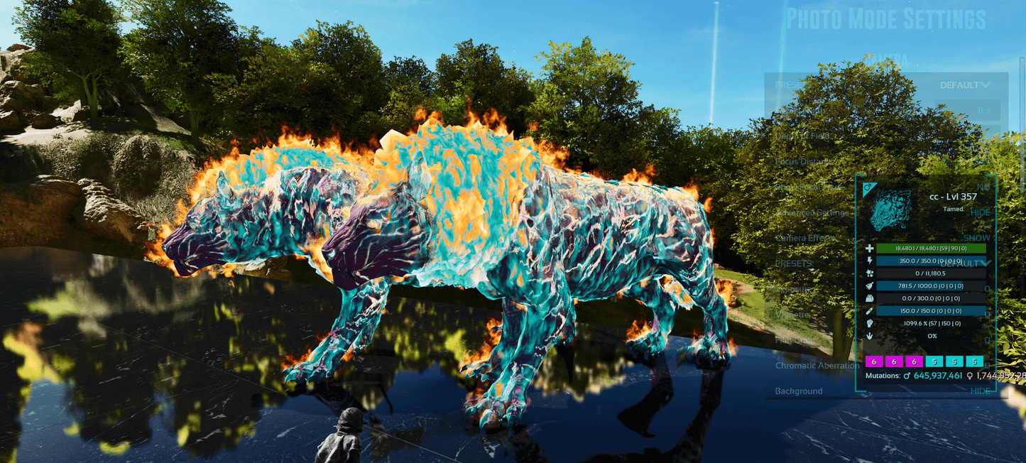 Pyromane / PYRO - MAX Level / SOLIDS