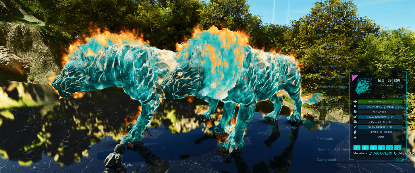 Pyromane / PYRO - MAX Level / SOLIDS