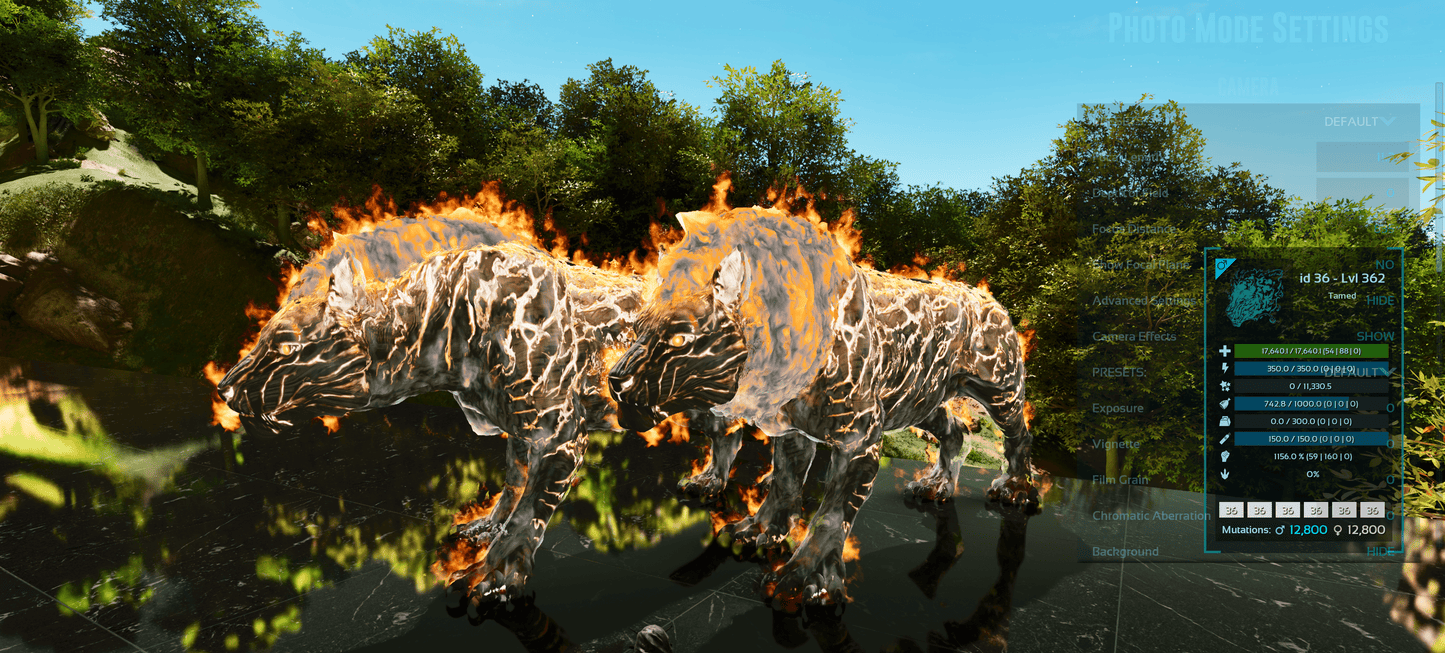 Pyromane / PYRO - MAX Level / SOLIDS