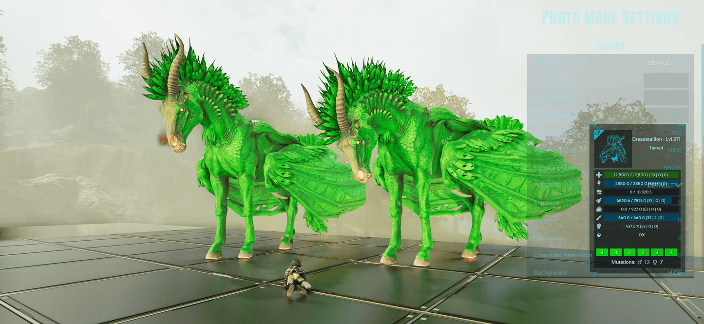 🏷️ Dreadstallion / Dreadmare 362 Level / HIGH STATS 🏷️