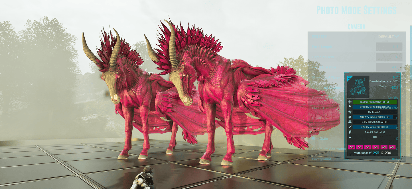 🏷️ Dreadstallion / Dreadmare 362 Level / HIGH STATS 🏷️