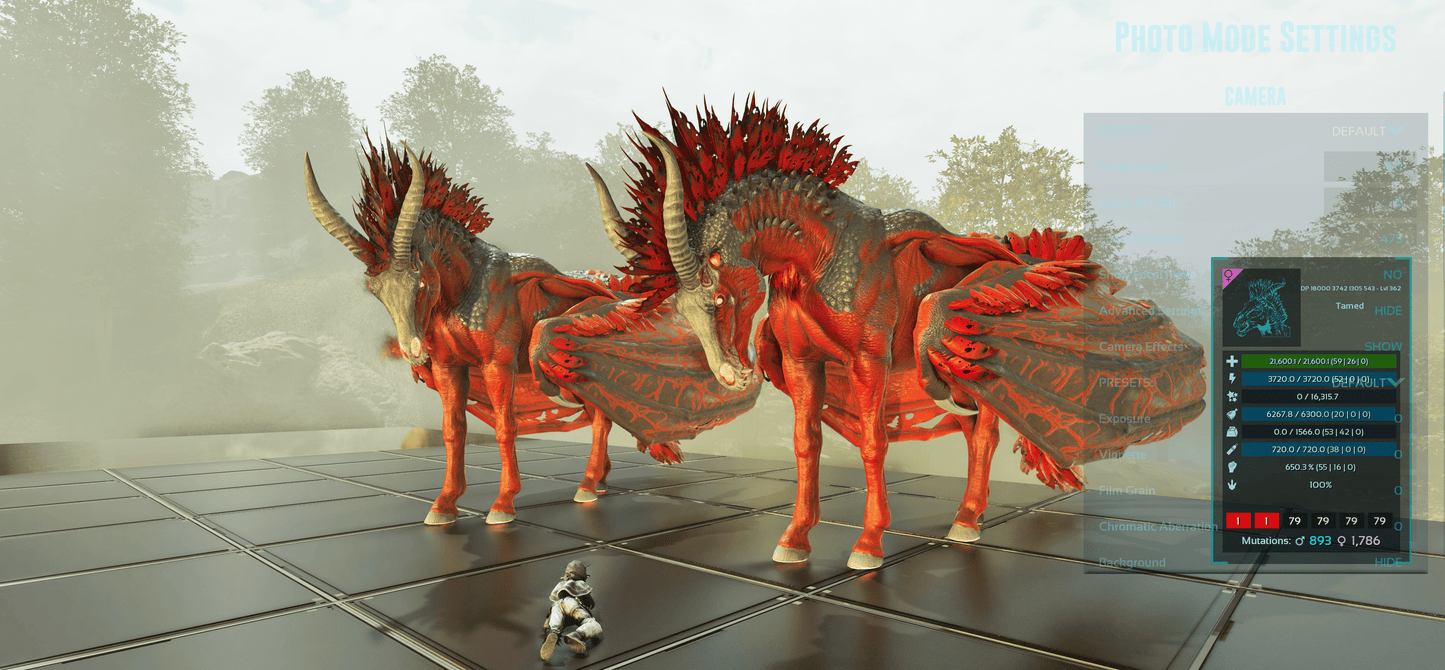 🏷️ Dreadstallion / Dreadmare 362 Level / HIGH STATS 🏷️