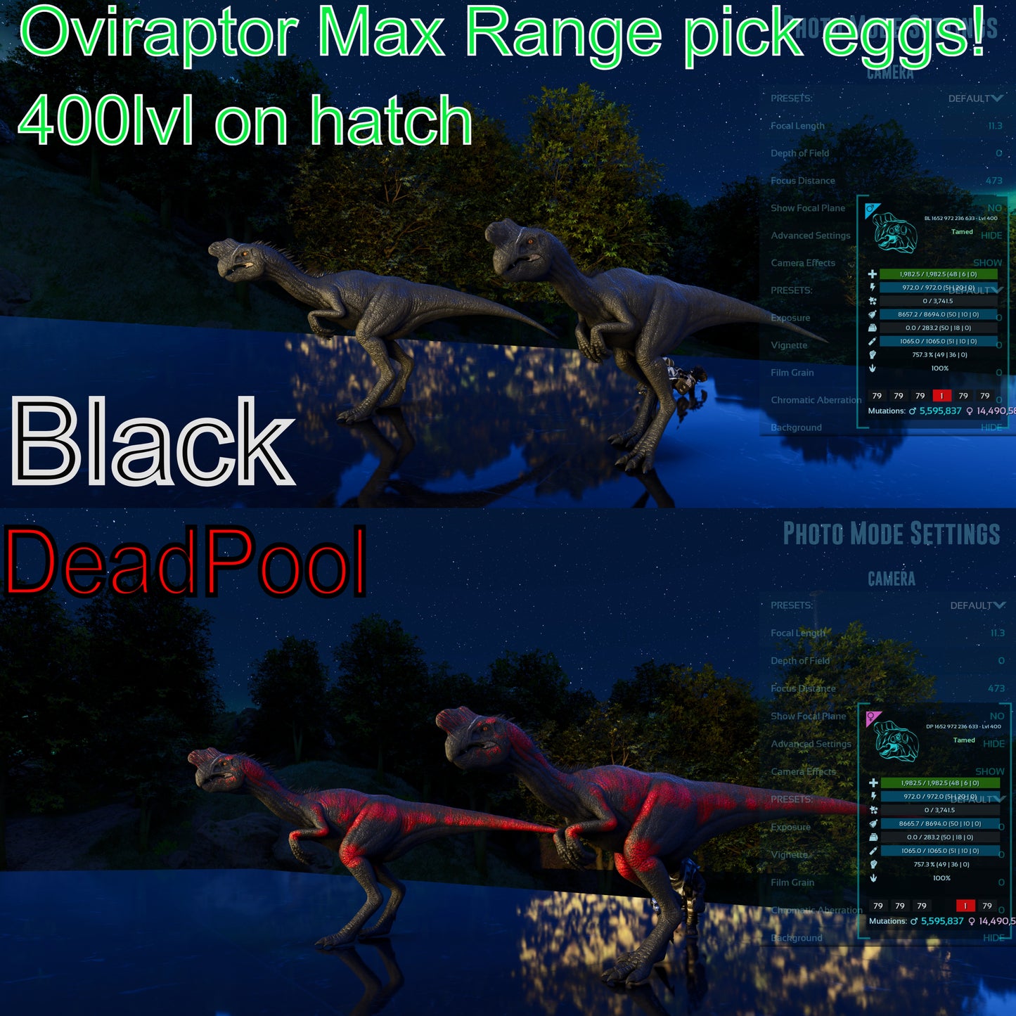 Oviraptor Level 400