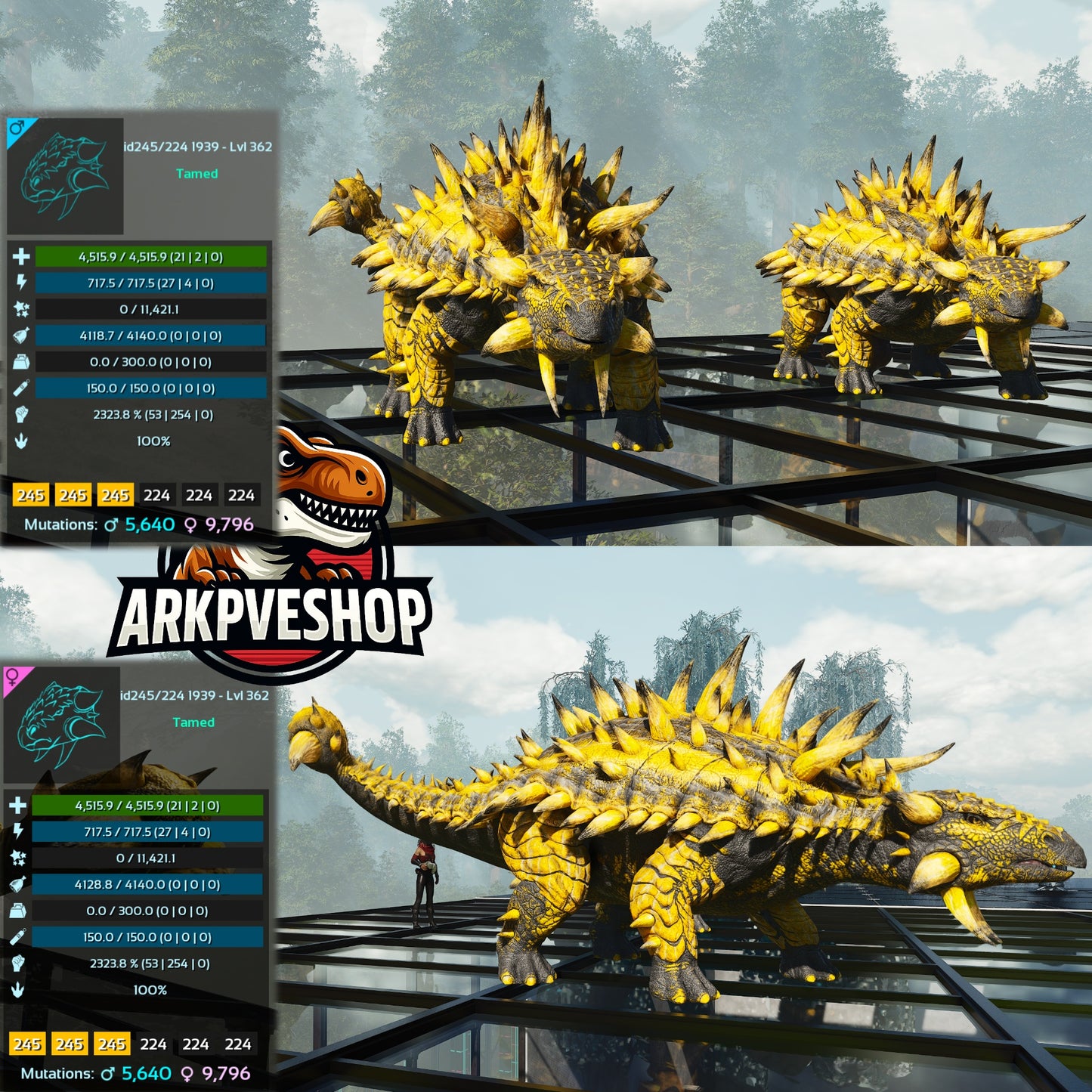 Aberrant Ankylosaurus Ankylo 2323.8%Melee