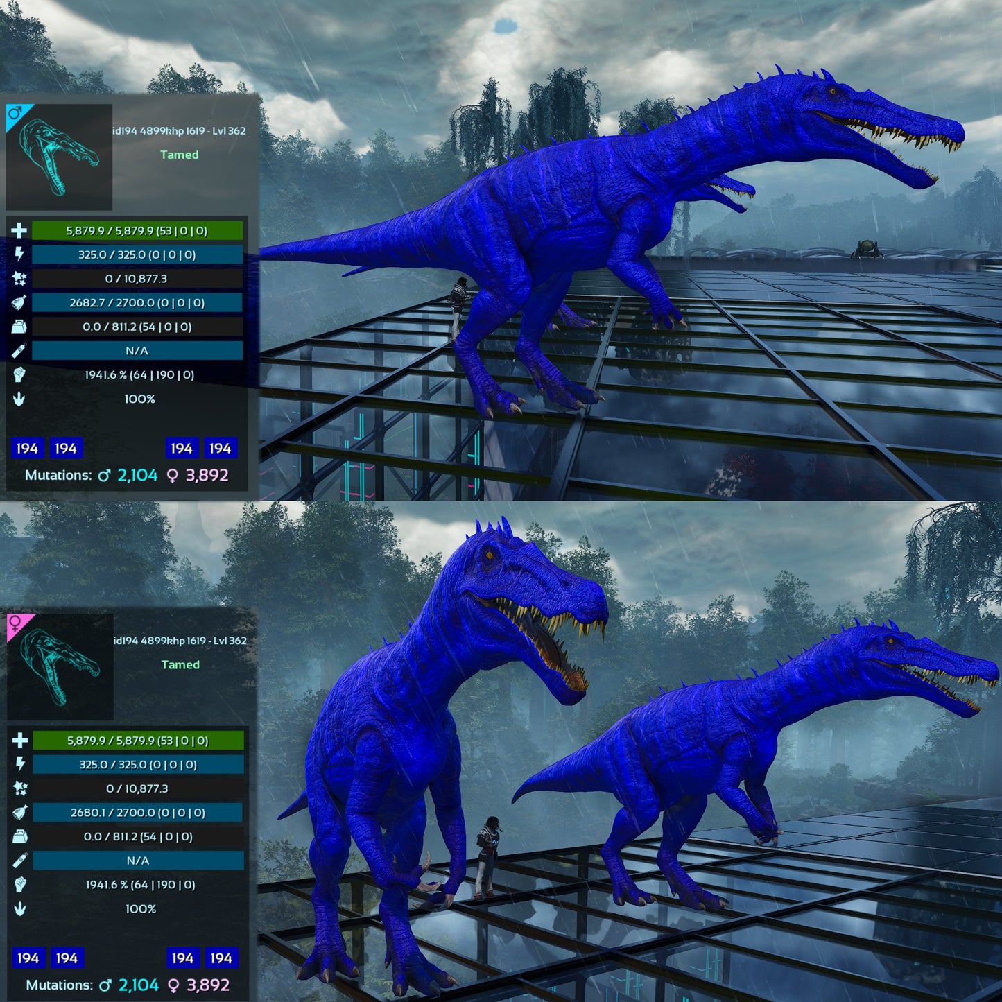 Aberrant Baryonyx 1941%m or 2393%m