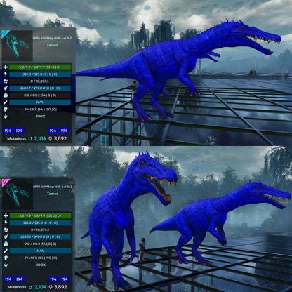 Aberrant Baryonyx 1941%m or 2393%m