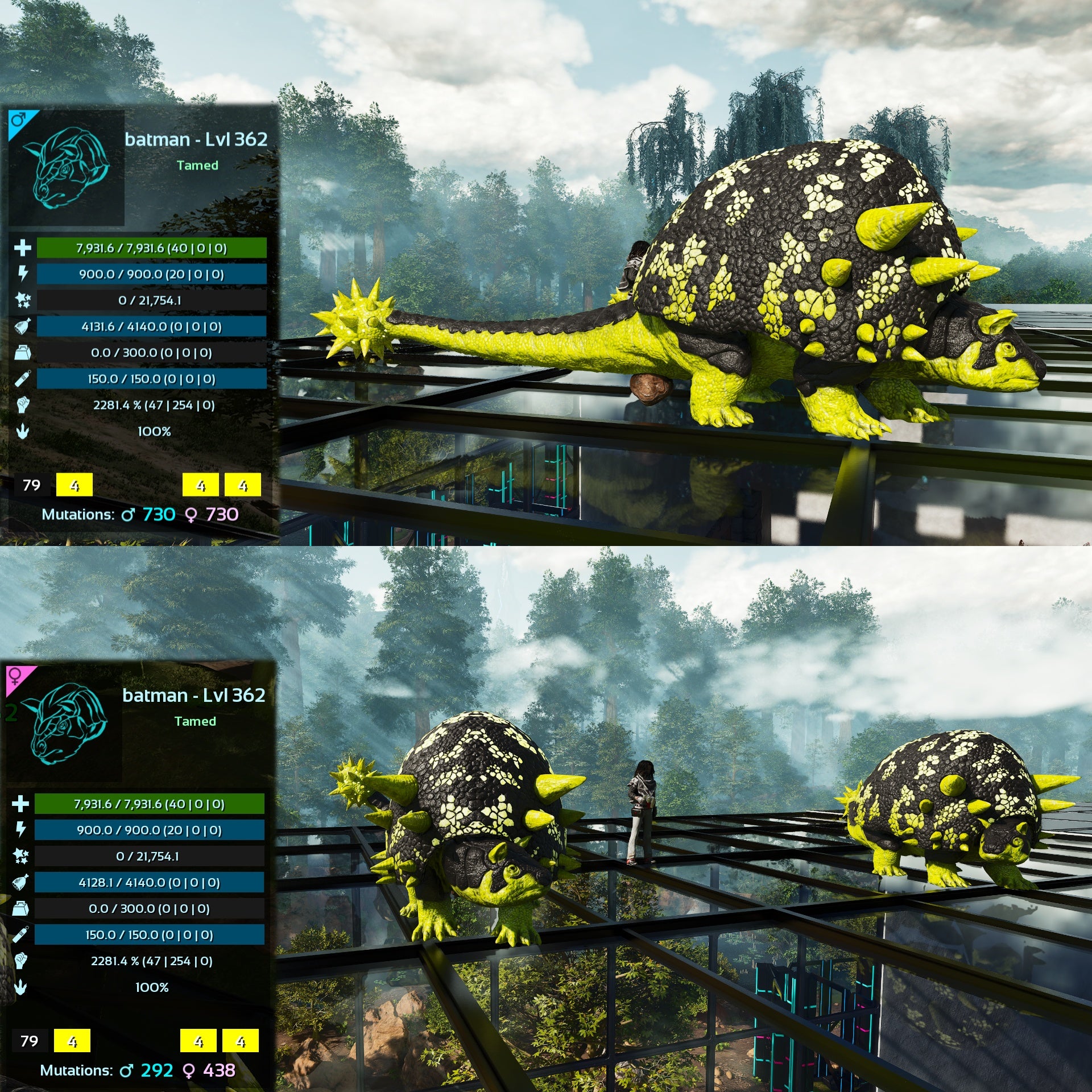 Products – My Ark Ascended
