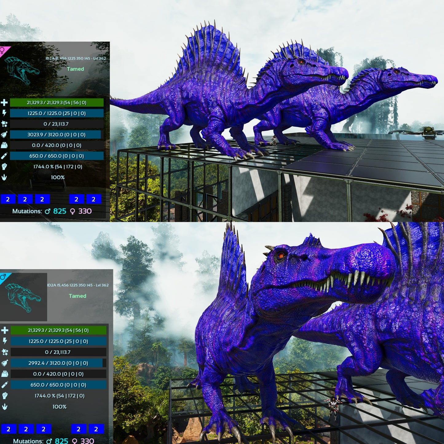 🦖 Aberrant Spino Spinosaurus 1744%Melee Colours