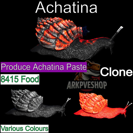 Achatina Snail Clone