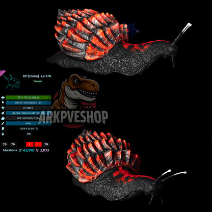 Achatina Snail Clone