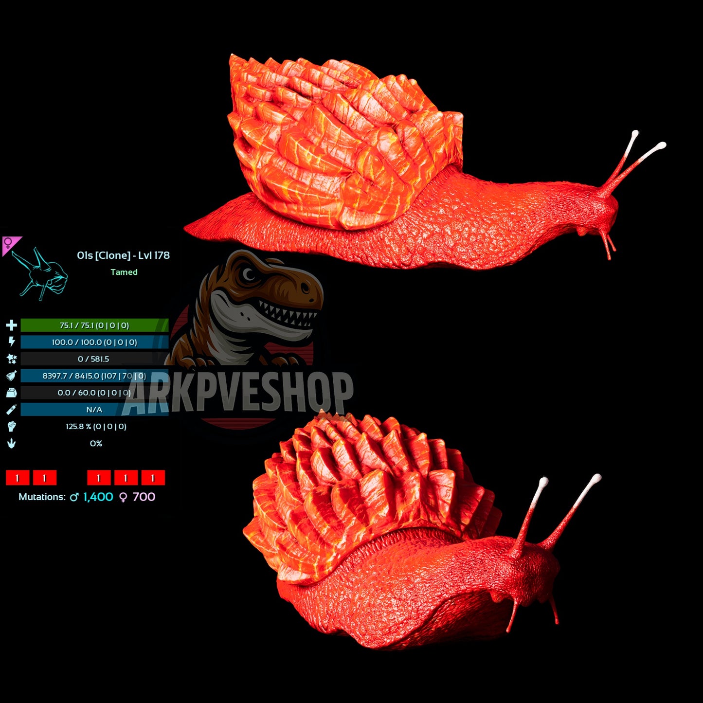 Achatina Snail Clone