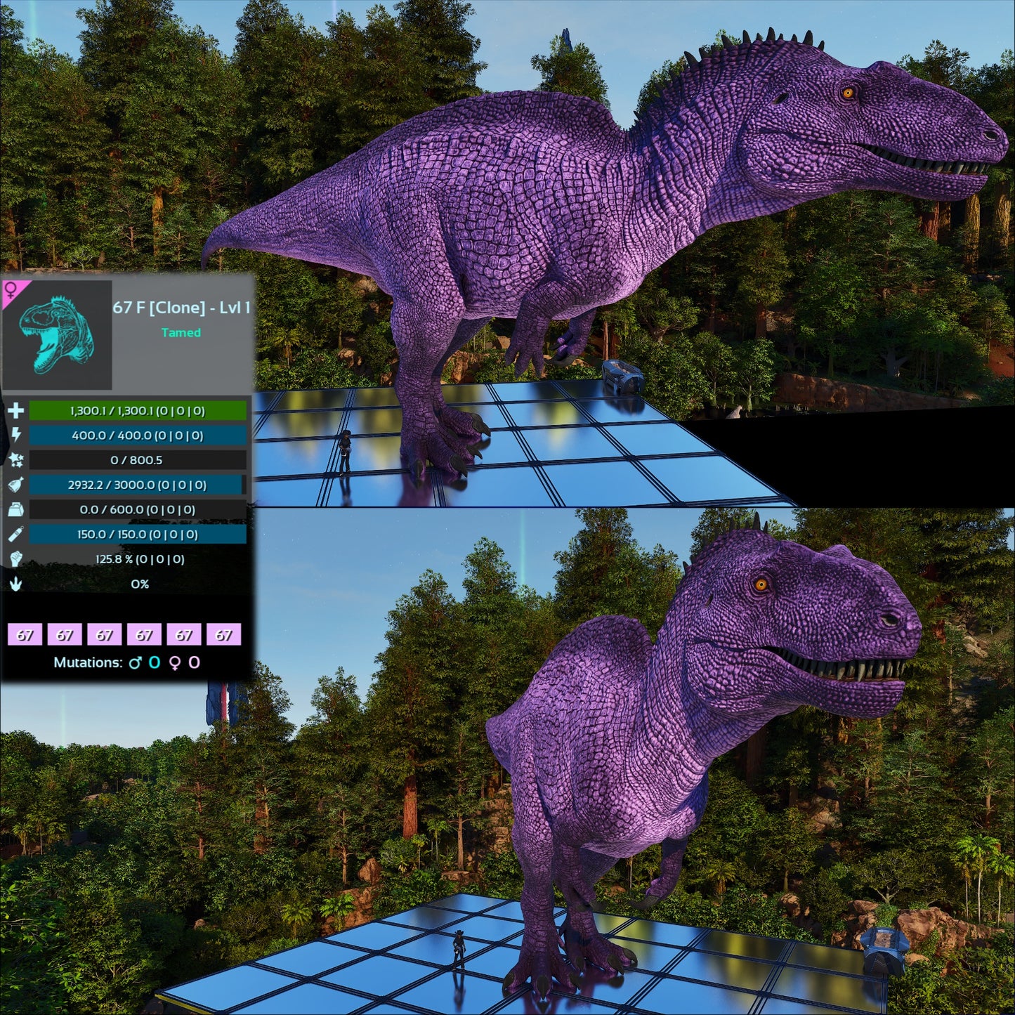 Acrocanthosaurus Acro Lvl 1