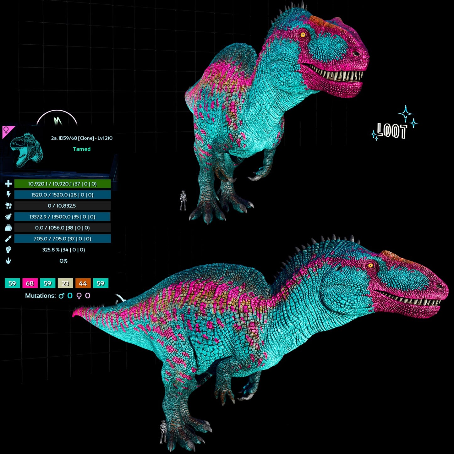 🏷️Acro Acrocanthosaurus Clone High&Low Lvl🏷️
