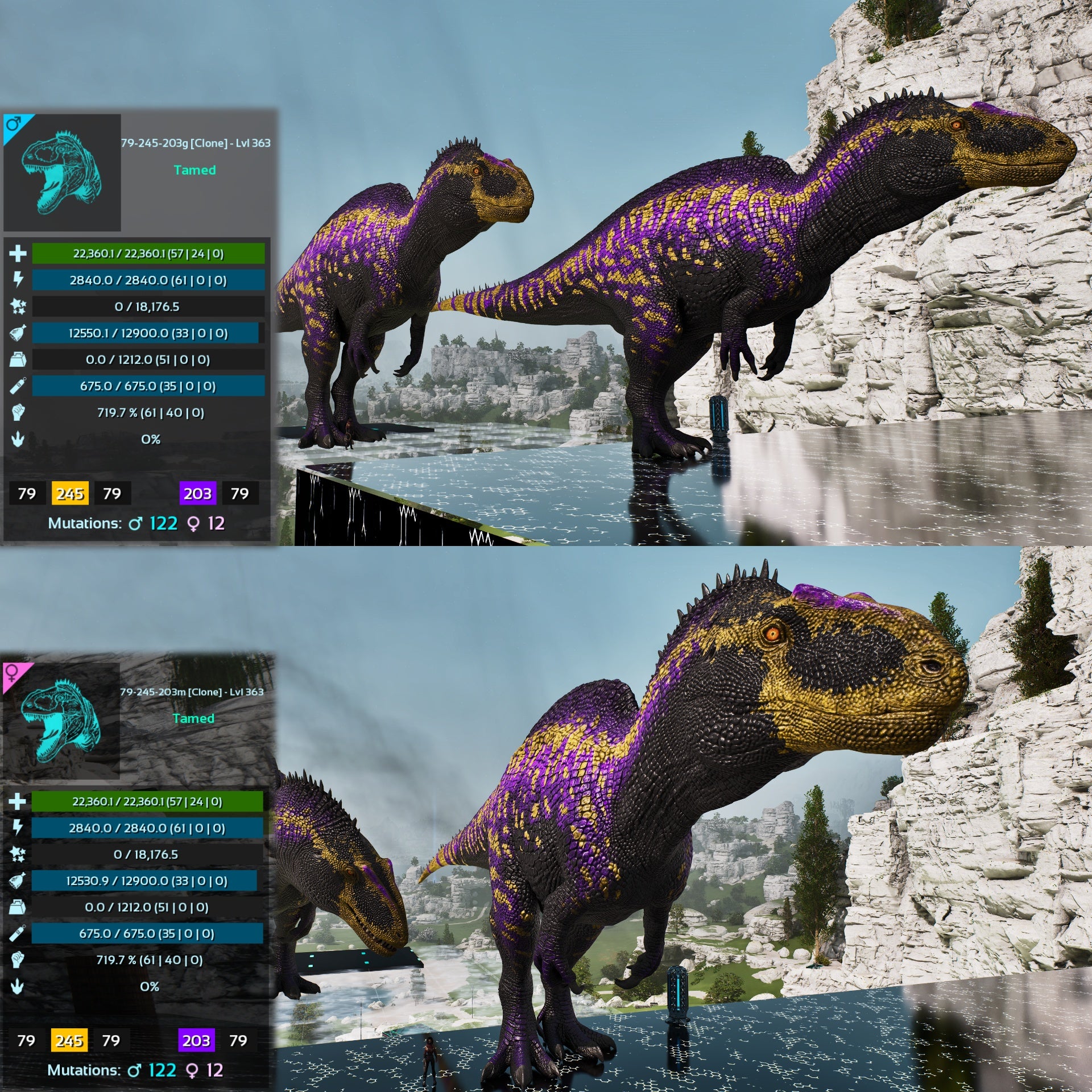Products – My Ark Ascended