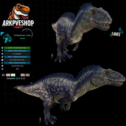 Acro Acrocanthosaurus Clone High&Low Lvl