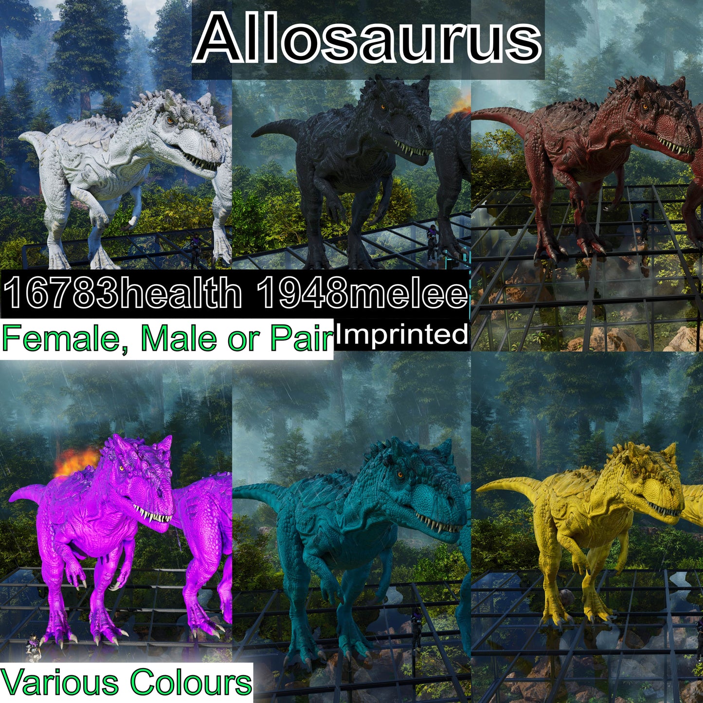 Allosaurus / Max Lvl 362 / Top Stats