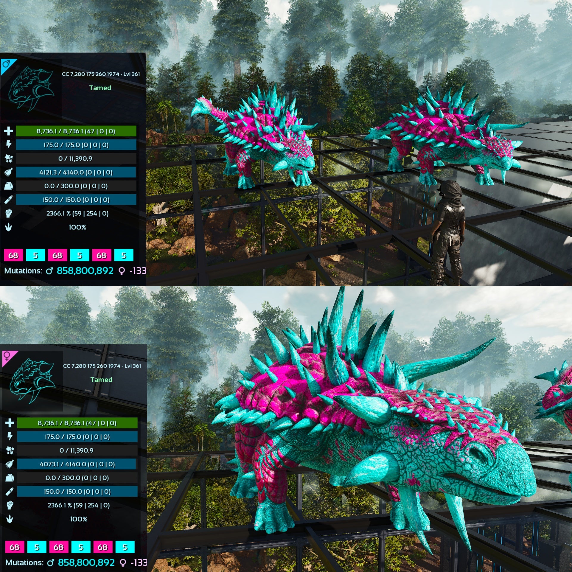 The Ankylosaurus in Ark Survival Ascended may be a tricky dinosaur to The Ankylosaurus in Ark Survival Ascended may be a tricky dinosaur to