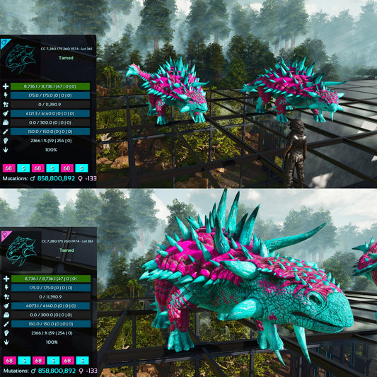 Ankylosaurus / Ankylo Top Stats Solid