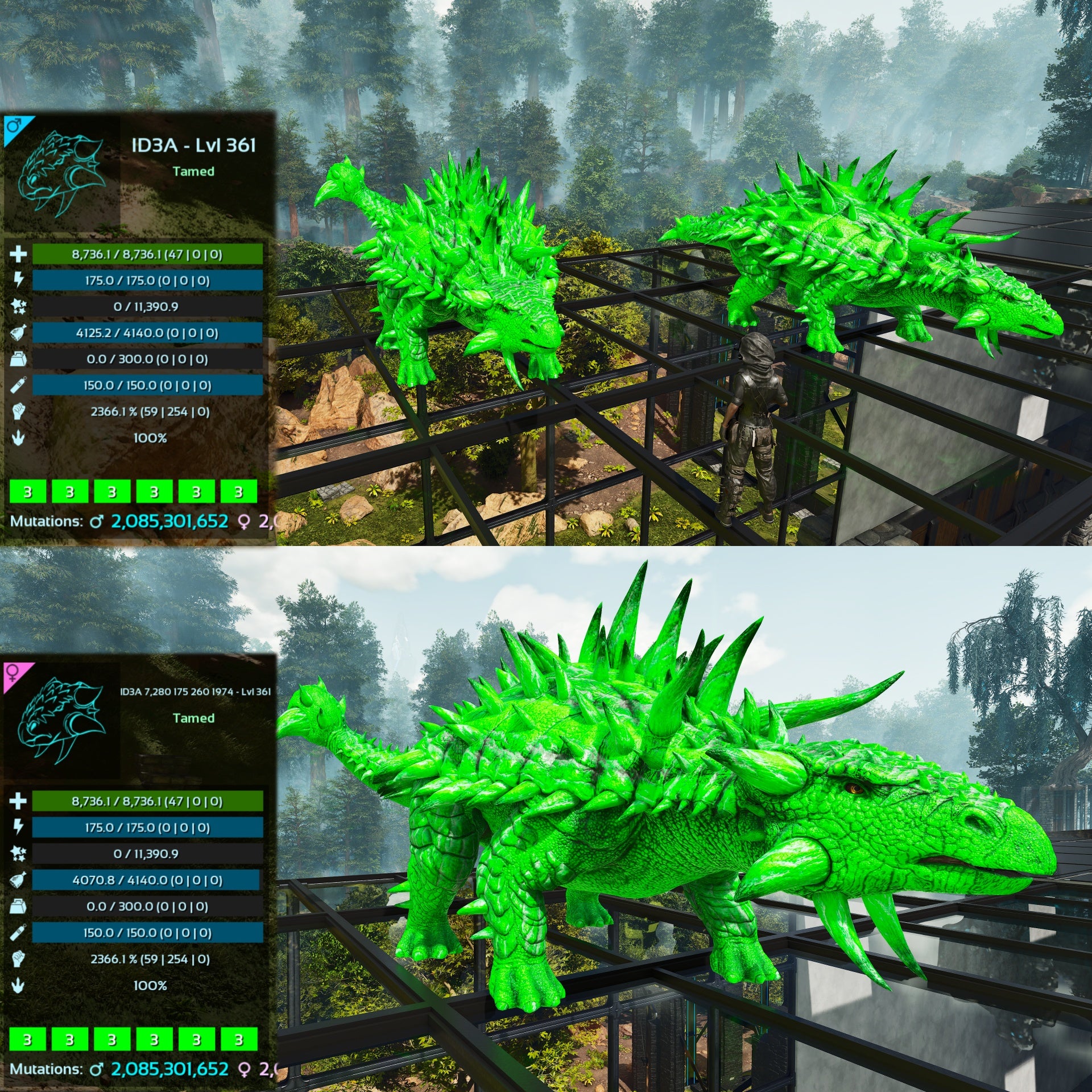 ARK Survival Ascended – Ankylosaurus Solid Black Top Stats PVE Per PS5/XBOX/PC - Foto 5