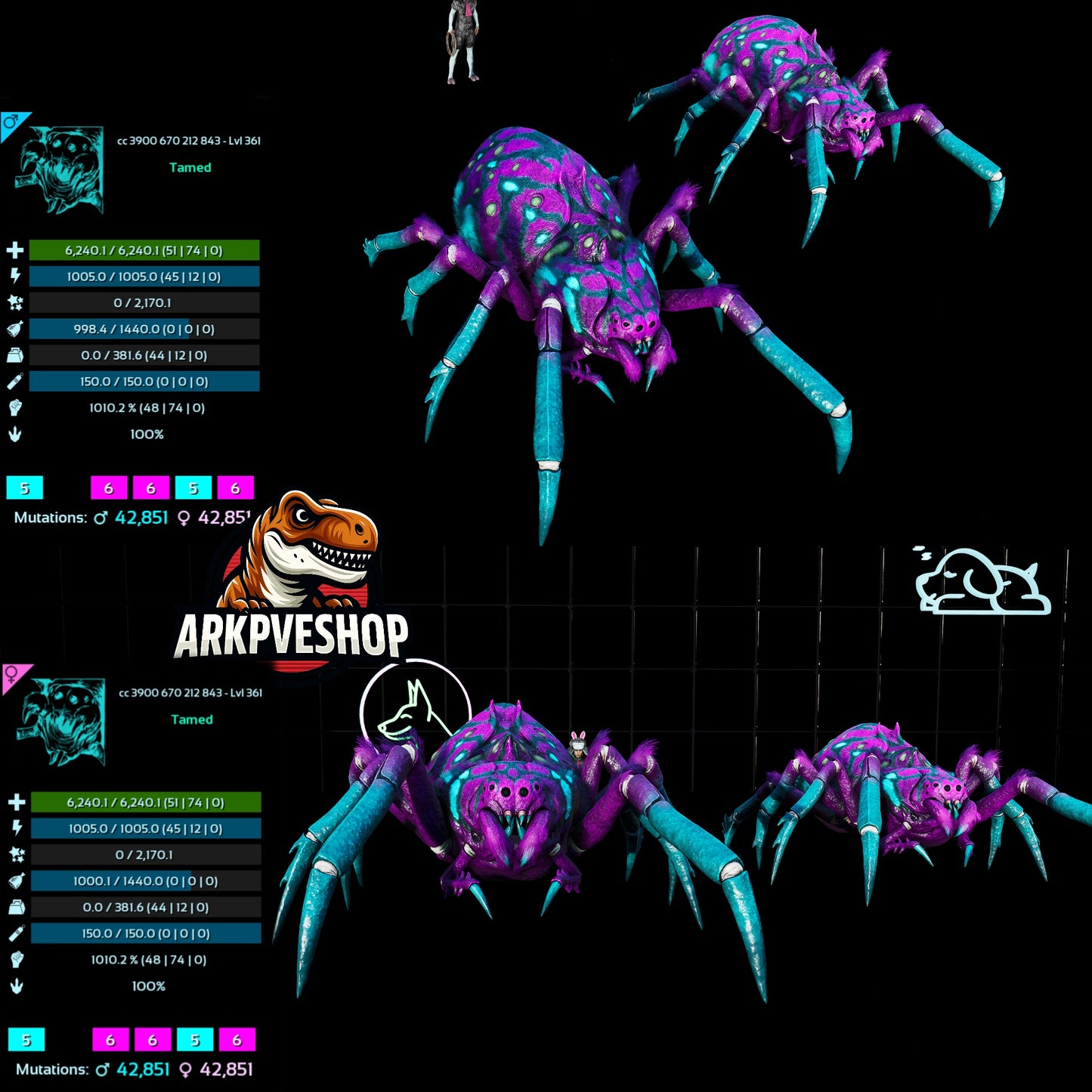 Araneo 1010.2%Melee