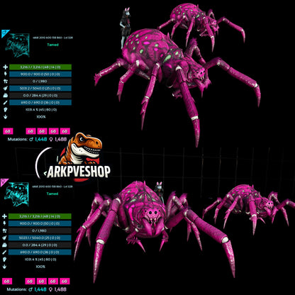 Araneo 1010.2%Melee