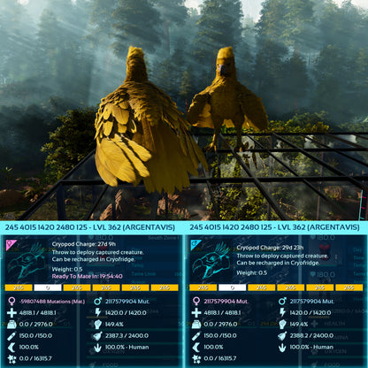 Argentavis / Argy Max Level 362